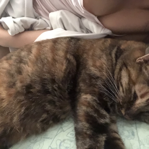 ありがとう♪。.:＊