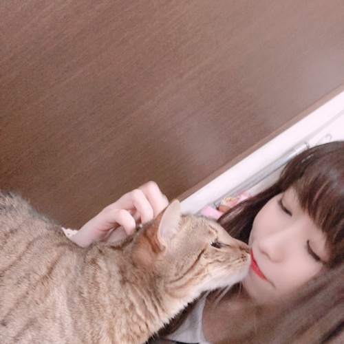 だだんだんだだんっ