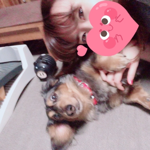 (*ˊ˘ˋ*)｡♪:*°