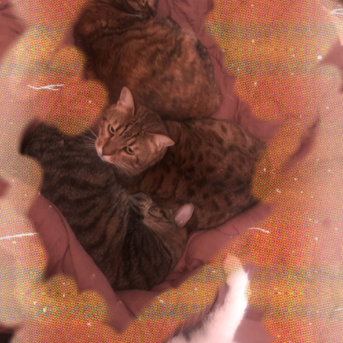 ぽかぽか～( ¨̮ )