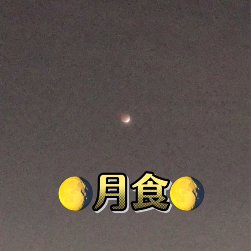 天体観察🌘