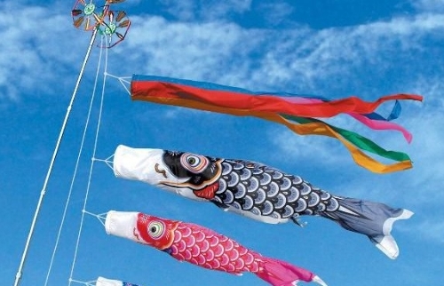 悲報…？それとも朗報…？|д・)