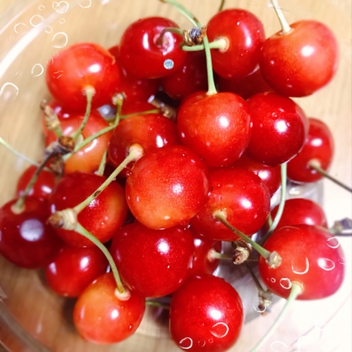 さくらんぼ🍒