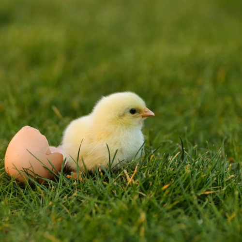 新人セラピスト♡上平なみ♡入店のお知らせ