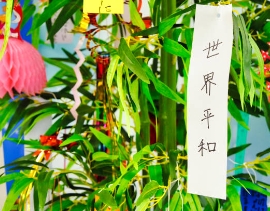 ささのは、さらさら