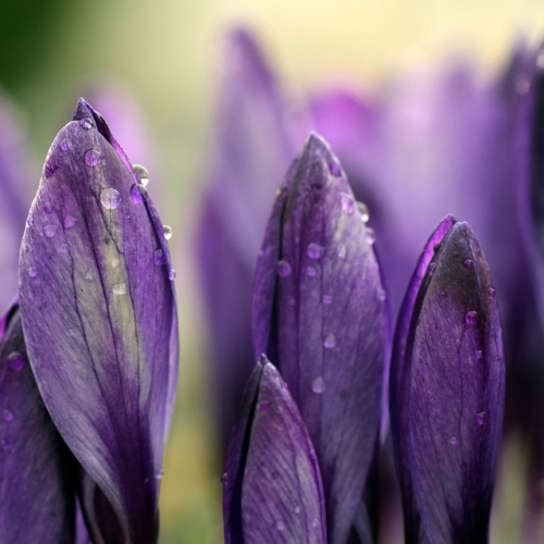 心バッキバキ　その2