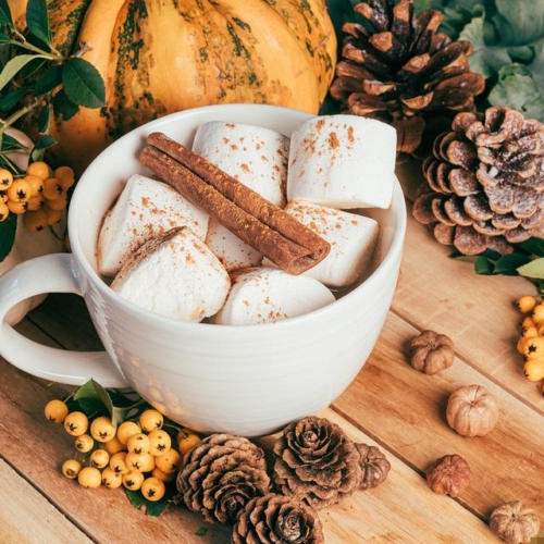 焼く？溶かす？いえ、燃やす！