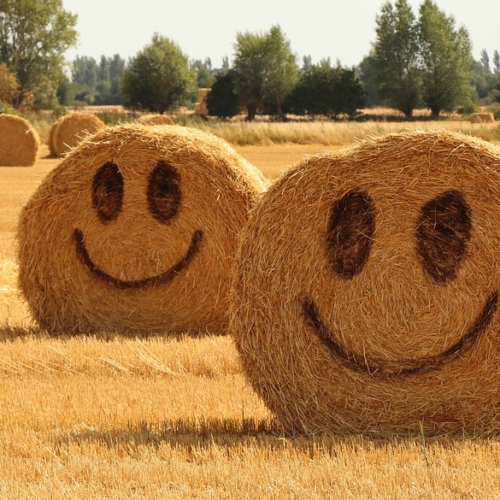 11月からのうれしい新サービス♡