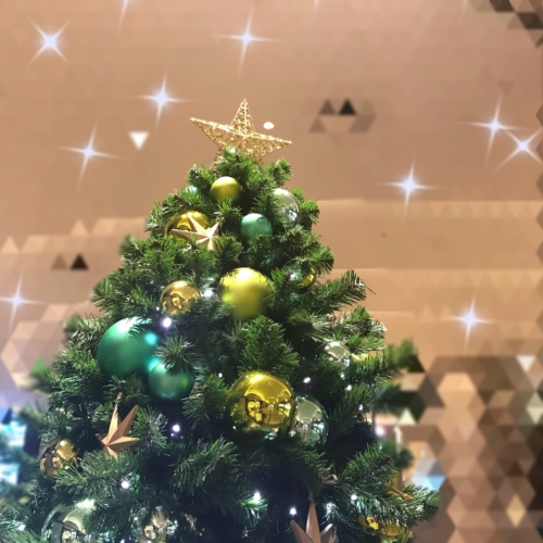 イルミネーション🎄✨