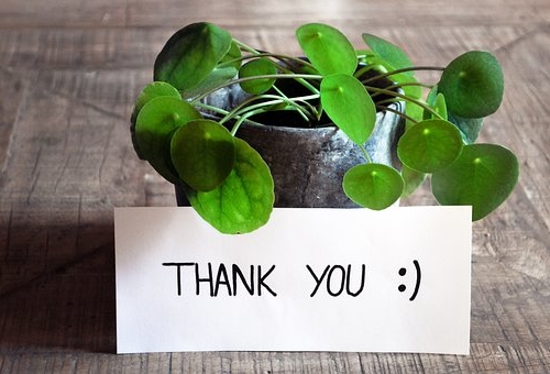 今年も1年ありがとうございました