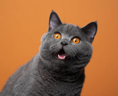 やってもーた！！！