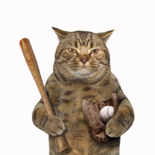 明日のご利用も前予約がおすすめ