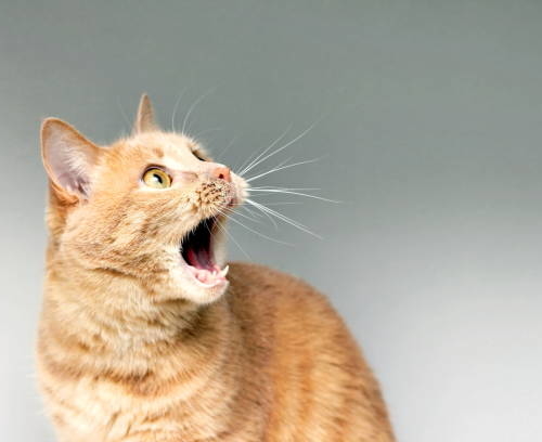 びっっっっくりした