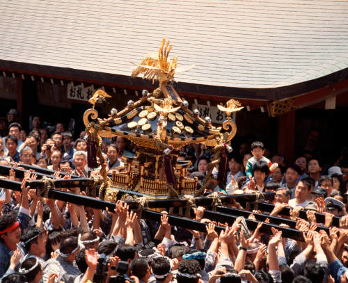 わっしょい、わっしょい！