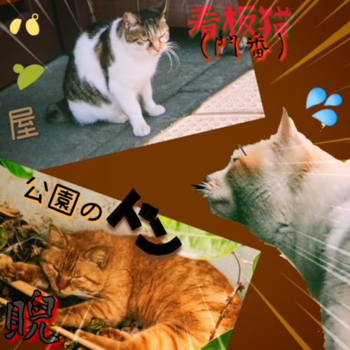 好きなら仕方ない