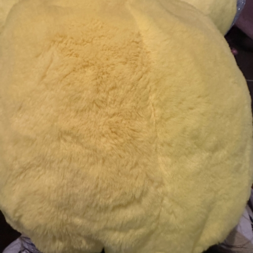 黄色いもふもふ