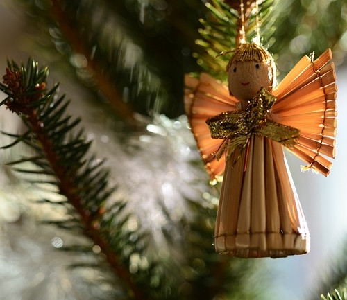 11月なのに・・・・