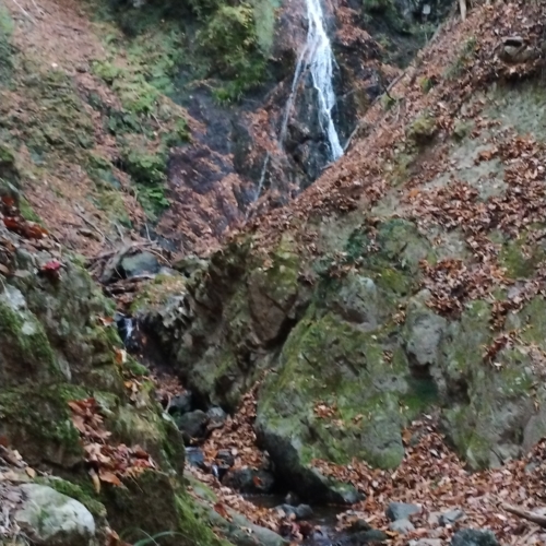 眠たさを　どうか　我慢しないでください💛
