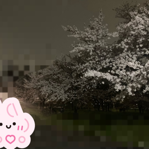 夜桜🌸