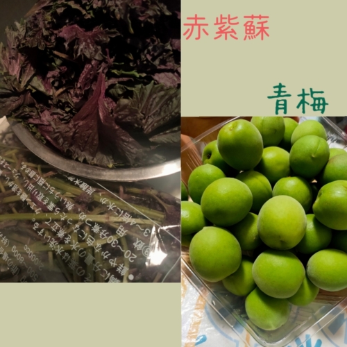 実家で作ってたのをこちらでも