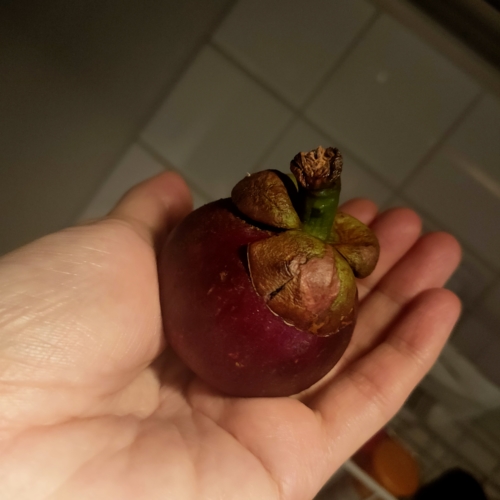 最初の出会いは学校給食♪