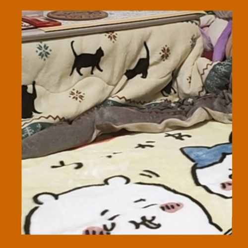 コタツ生活は出不精の始まりだ