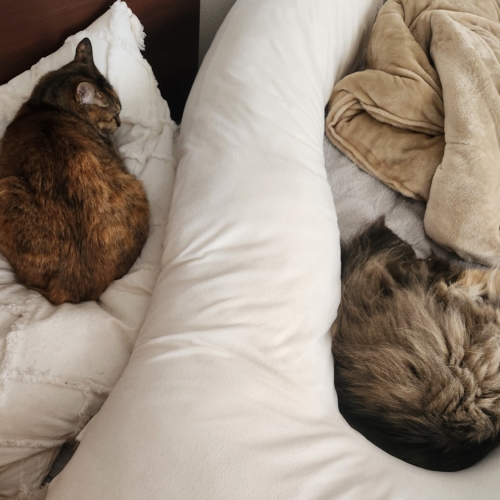 ☆天国かな？☆