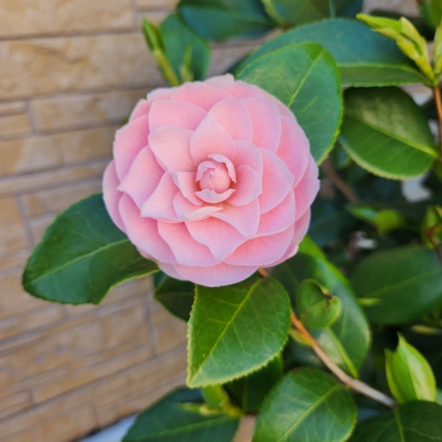 ☆まるっと充実な1日☆