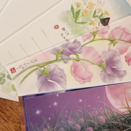 ☆洗濯物とハガキと、小さな満足☆