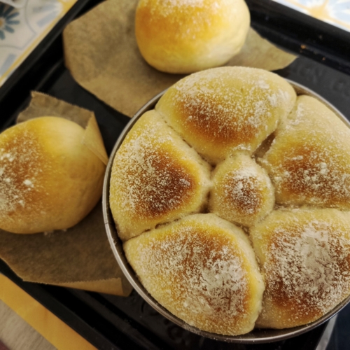 パン作り始めてから1ヶ月の成果♪