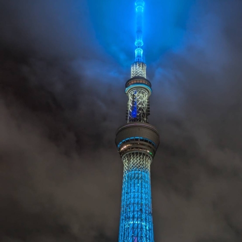 めちゃくちゃ綺麗だった✨