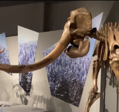 上野にある𓂃𓃰