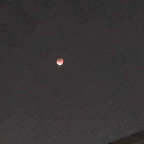 月食🌕