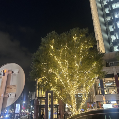 外もキラキラ✨✨