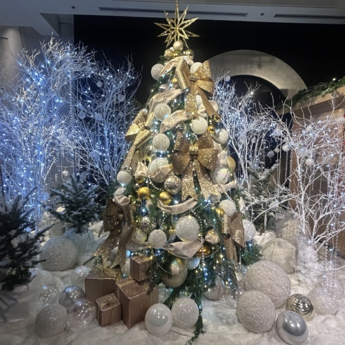 もうそんな季節かぁ～✨