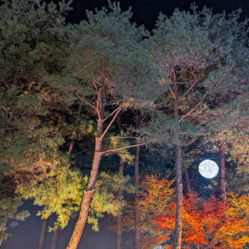 【初出勤】平松あいみです。