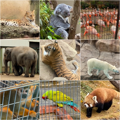 🚢神戸旅行その②✨