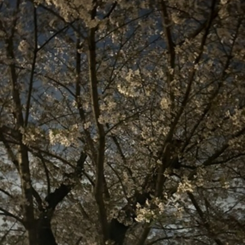 今日も待ってる🫶🏻