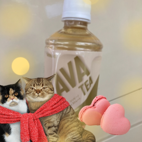 ジャワティー🫖